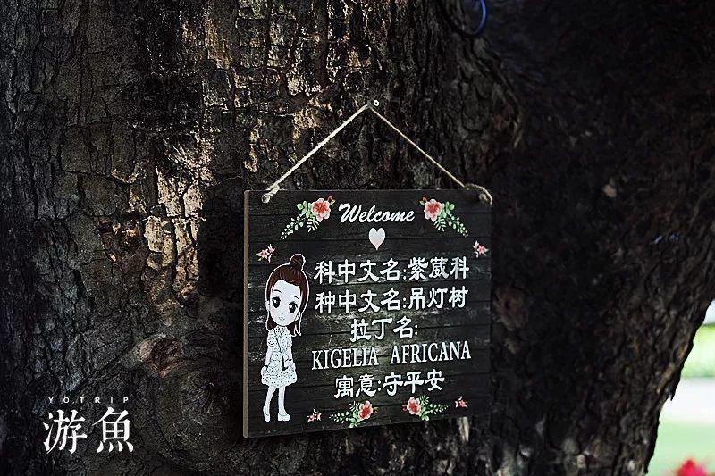你的男朋友如何看待你是个沙雕？游戏画面